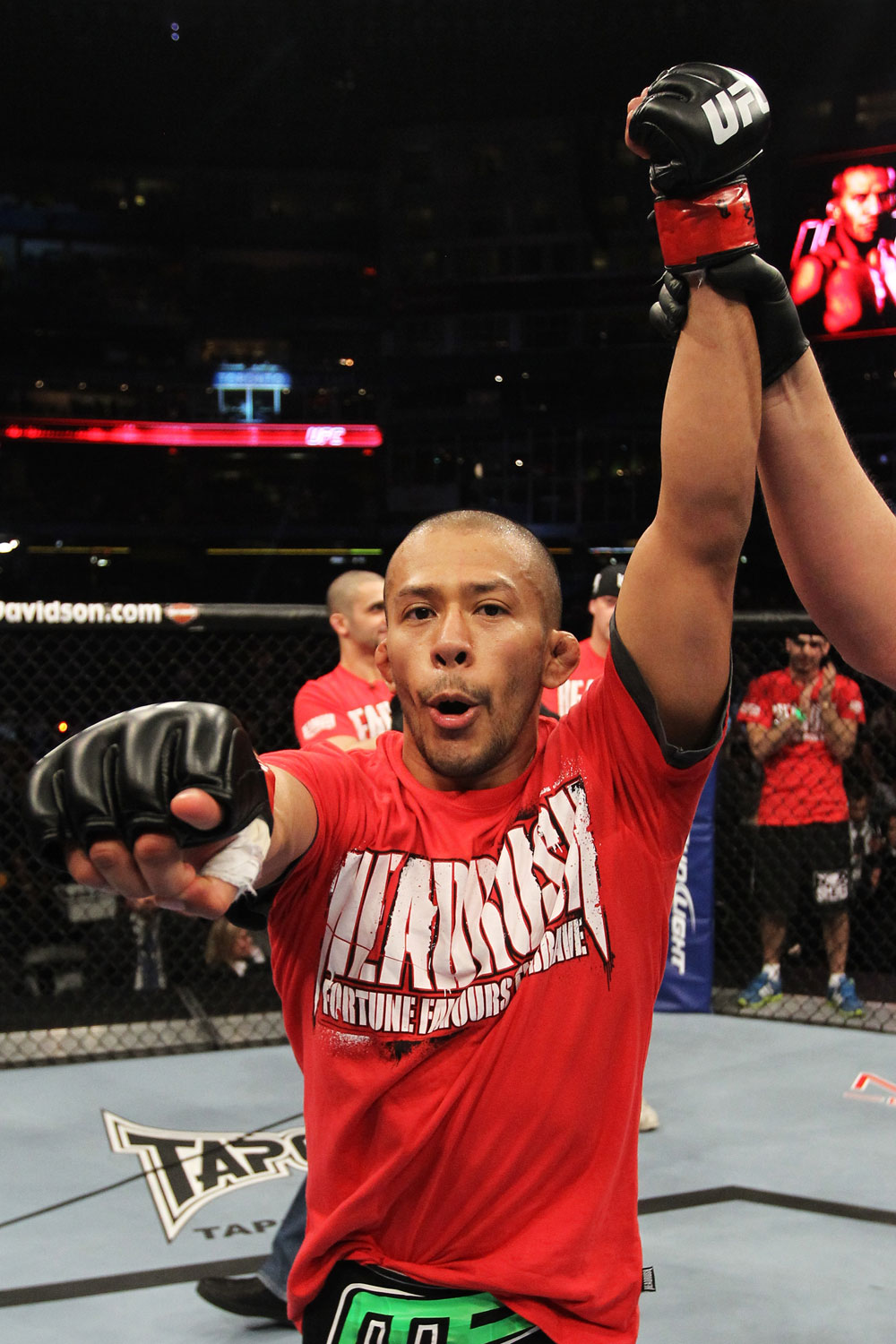 mma mma