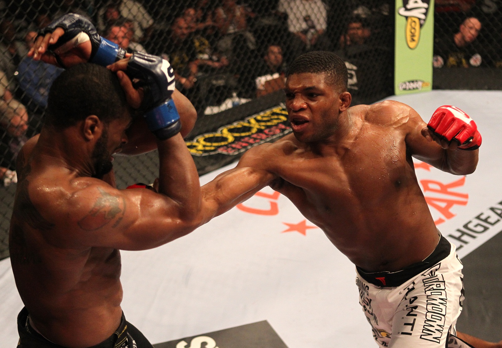 Strikeforce welterweight Paul Daley Strikeforce welterweight Paul Daley