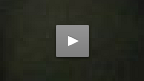 UFC&reg; 118 Kenny Florian vs Gray Maynard