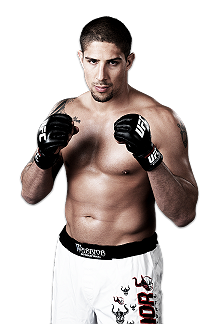 Brendan Schaub