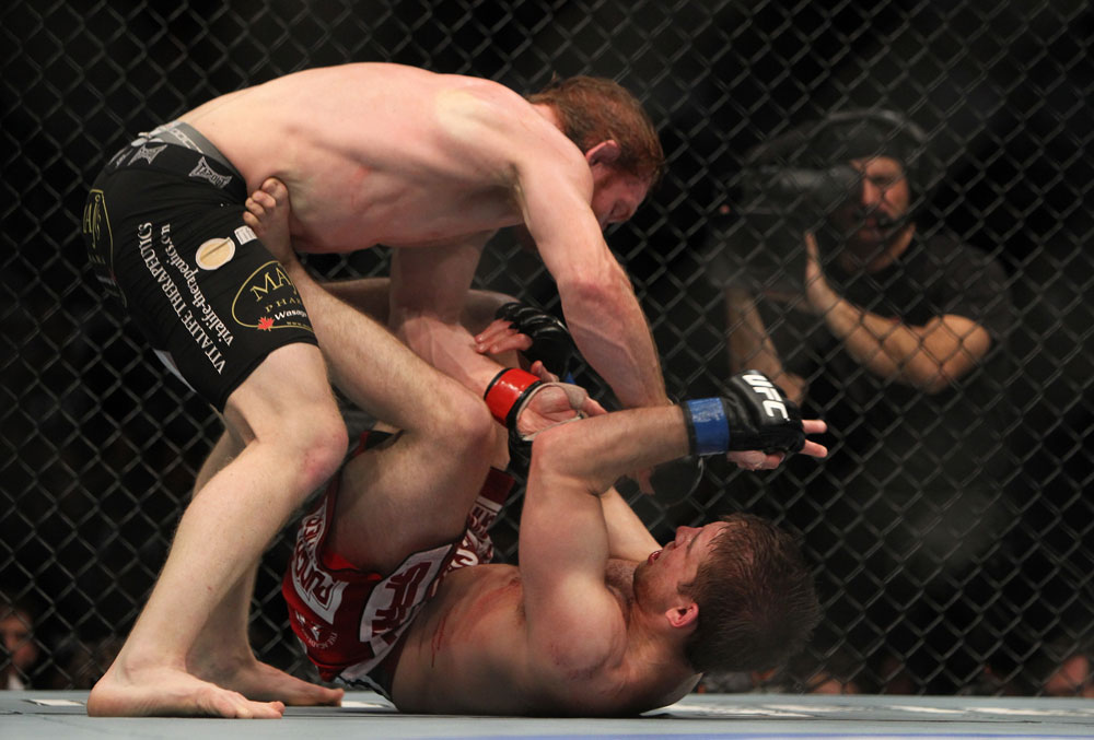 Bocek sobre Lentz