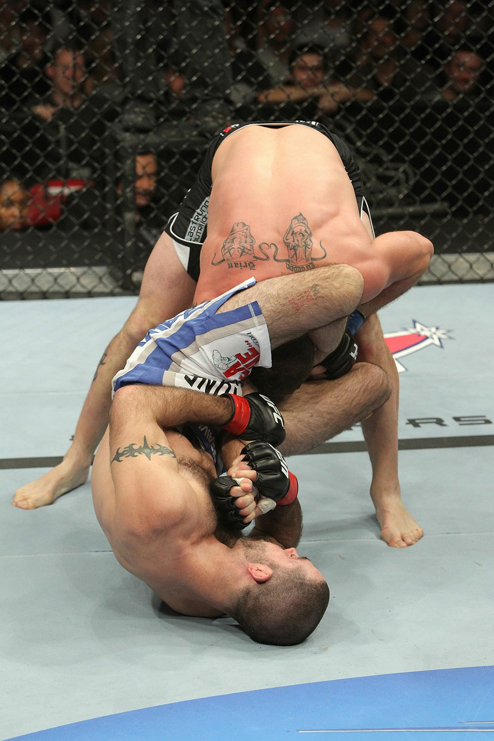 UFC 123: Matt Brown vs. Brian Foster